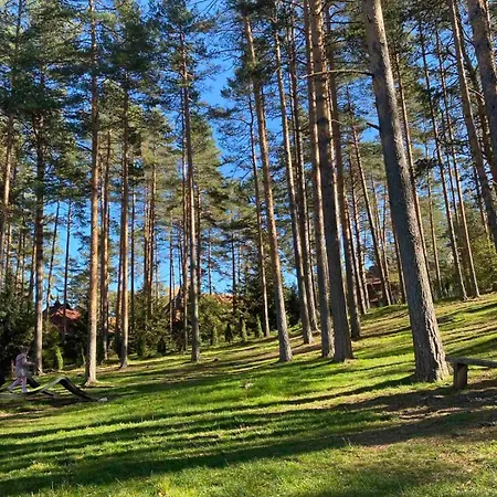 Апартаменты Snovi - Uzivanje U Prirodi Златибор