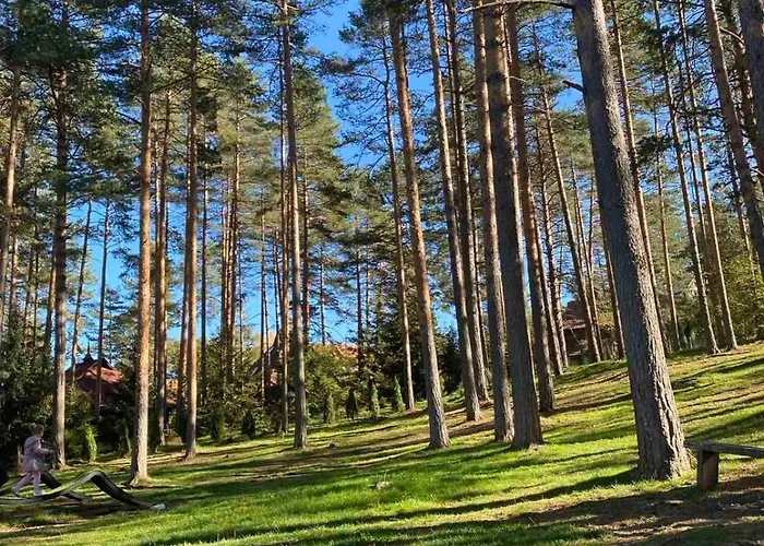 アパート Snovi - Uzivanje U Prirodi ズラティボール